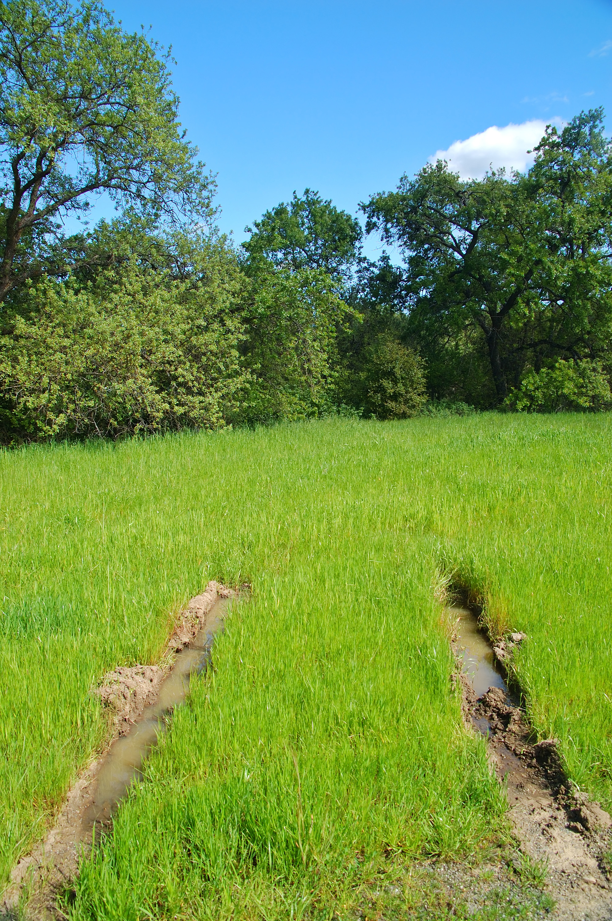 Stuck In The Mud